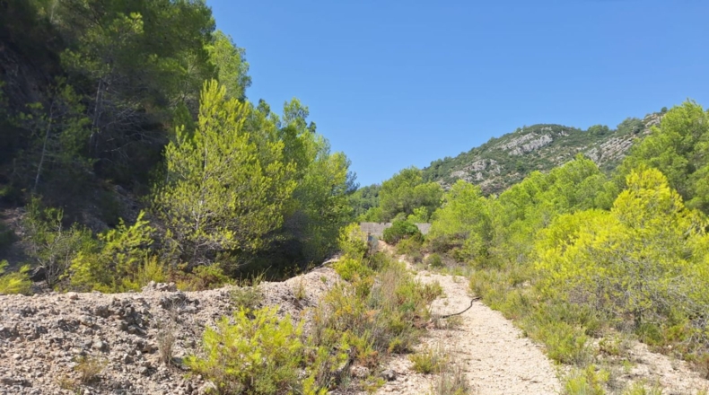 Valencia - Oliva - 54804m2