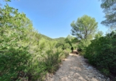 Finca rústica en venta en la España, Oliva, ref: TR386061 foto
