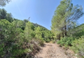 Finca rústica en venta en la España, Oliva, ref: TR386061 foto