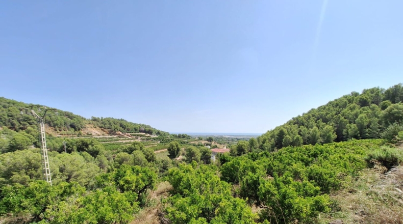 Valencia - Oliva - 54804m2