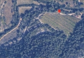 Finca rústica en venta en la España, Oliva, ref: TR386061 foto
