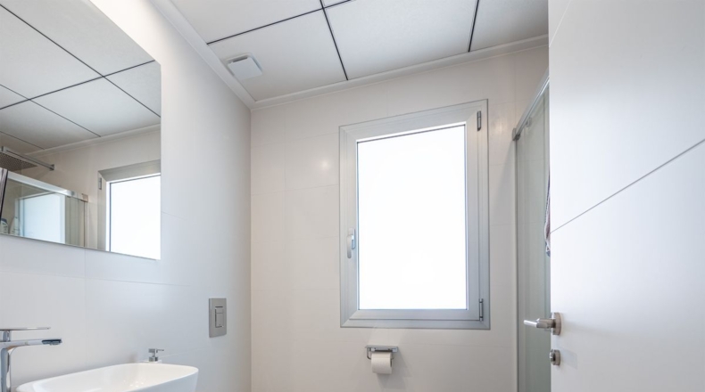 Alicante - Algorfa - 420m2