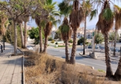 Parcela urbanizable en venta en Motril ref: TR386465 foto