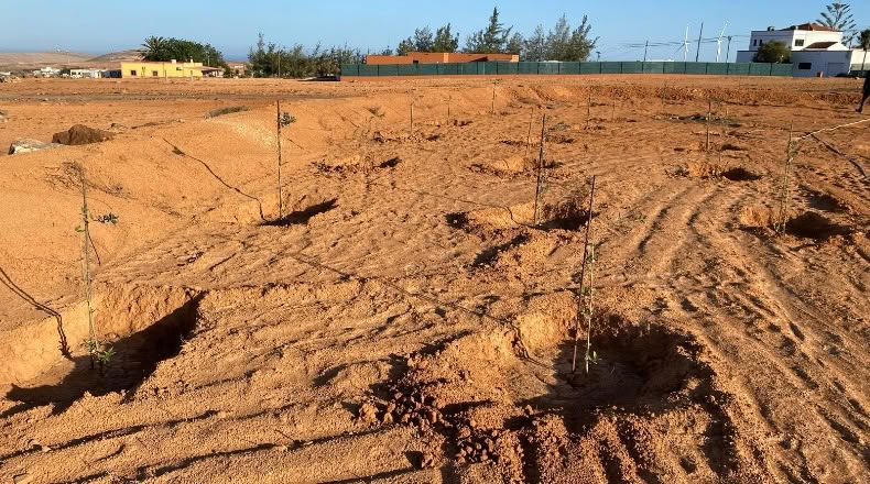 Las Palmas - Puerto del Rosario - 19400m2