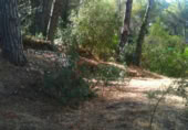 Urban land for sale on Passeig de Walt Disney, Rubí, ref: TR384655 photo