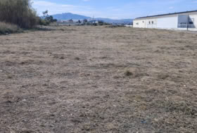 Molina de Segura 16500&nbsp;m² 
