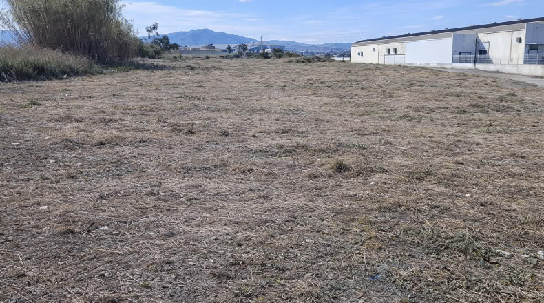 Murcia - Molina de Segura - 16500m2