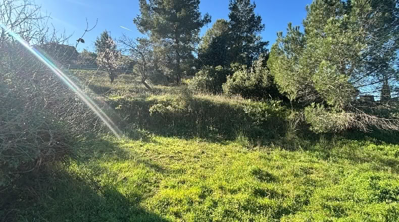 Барселона - Castellbisbal - 594m2