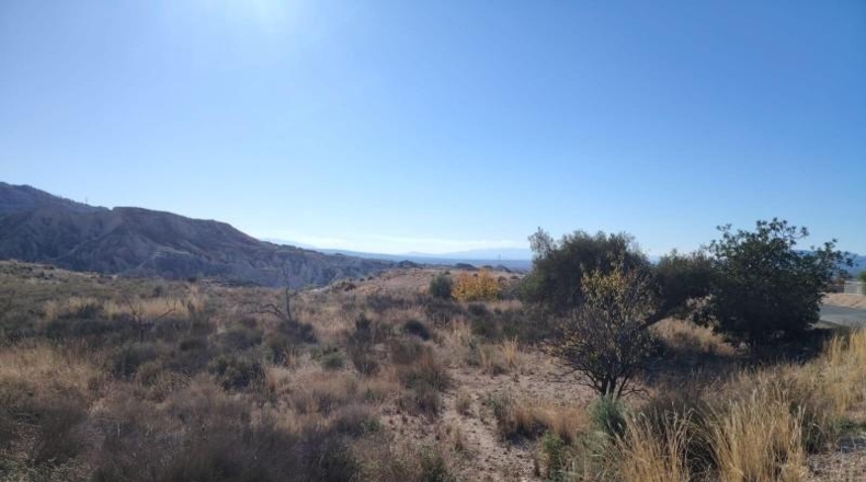 Alicante - la Romana - 5000m2