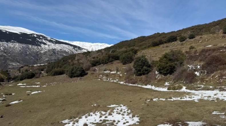 Granada - Capileira - 11352m2