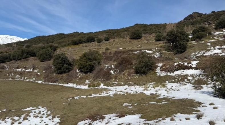 Granada - Capileira - 11352m2