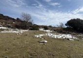 Non-developable land for sale on España, Capileira, ref: TR385075 photo