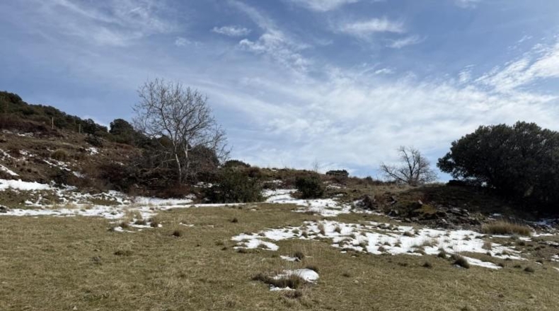 Granada - Capileira - 11352m2