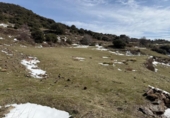 Non-developable land for sale on España, Capileira, ref: TR385075 photo