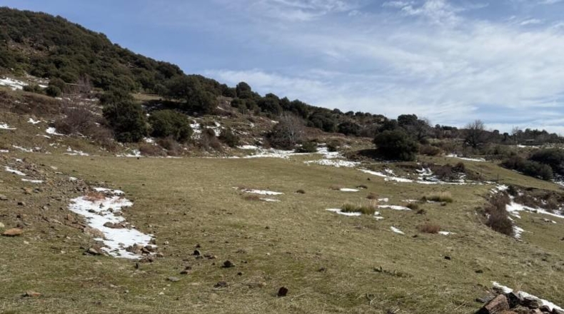 Granada - Capileira - 11352m2