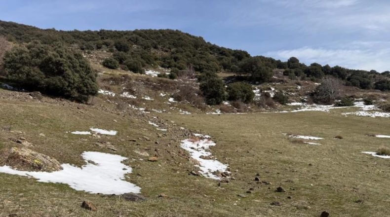 Granada - Capileira - 11352m2