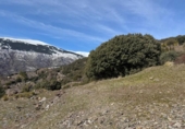 Non-developable land for sale on España, Capileira, ref: TR385075 photo