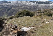 Non-developable land for sale on España, Capileira, ref: TR385075 photo