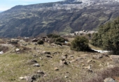 Non-developable land for sale on España, Capileira, ref: TR385075 photo