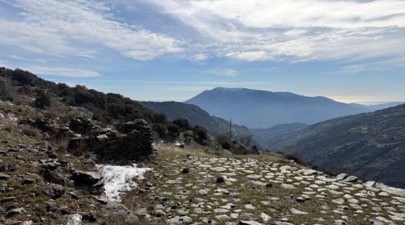 Granada - Capileira - 11352m2