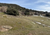 Non-developable land for sale on España, Capileira, ref: TR385075 photo