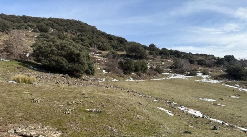 Granada - Capileira - 11352m2