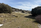 Non-developable land for sale on España, Capileira, ref: TR385075 photo