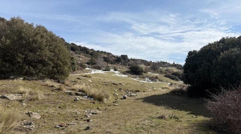 Granada - Capileira - 11352m2
