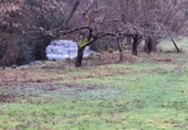 Finca rústica en venda a la España, Degaña, ref.: TR400012 foto