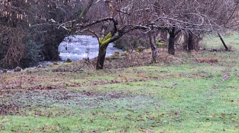 Asturias - Degaña - 7200m2
