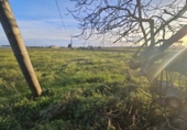 Land suitable for development for sale on España, Malgrat de Mar, ref: TR384870 photo