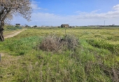 Land suitable for development for sale on España, Malgrat de Mar, ref: TR384870 photo