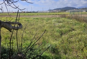 Malgrat de Mar 4440&nbsp;м²