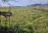 Land suitable for development for sale on España, Malgrat de Mar, ref: TR384870 photo