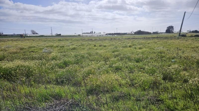 Барселона - Malgrat de Mar - 4440m2