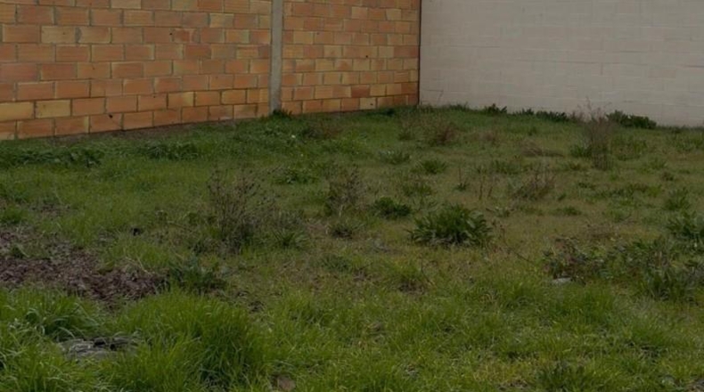 Zaragoza - Ejea de los Caballeros - 220m2