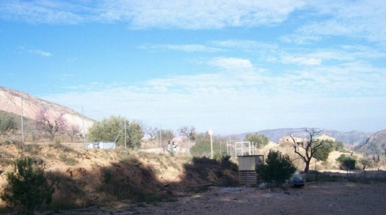Alicante - la Romana - 3340m2