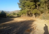 Nau industrial en venda a la España, la Romana, ref.: TR400020 foto
