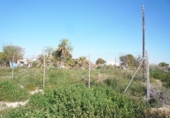 Terreny no urbanitzable en venda a la España, Mutxamel, ref.: TR384936 foto
