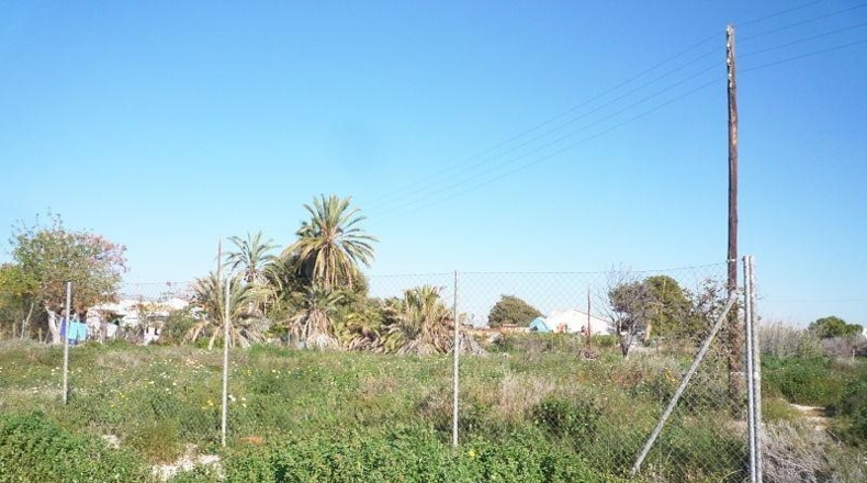 Alicante - Mutxamel - 1499m2