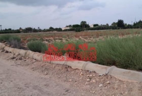 Elche 8000&nbsp;m²