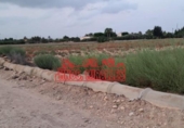 Parcel·la urbanitzable en venda a la España, Elx, ref.: TR387976 foto