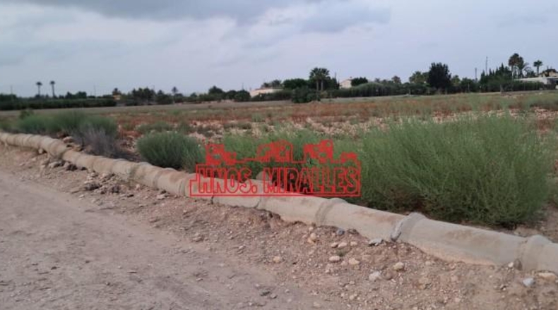 Аликанте - Elche - 8000m2