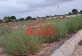 Elche 8000&nbsp;m²