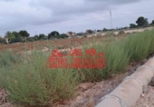 Parcel·la urbanitzable en venda a la España, Elx, ref.: TR387976 foto