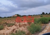 Parcel·la urbanitzable en venda a la España, Elx, ref.: TR387976 foto
