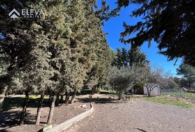 Alpicat 965&nbsp;m²