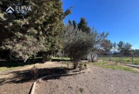 Alpicat 965&nbsp;m²
