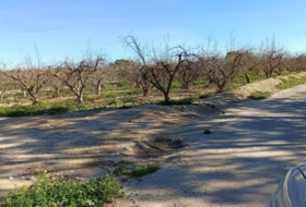 Crevillent 10000&nbsp;m² 