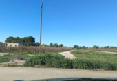 Casa de camp amb terreny en venda a la España, Crevillent, ref.: TR400028 foto